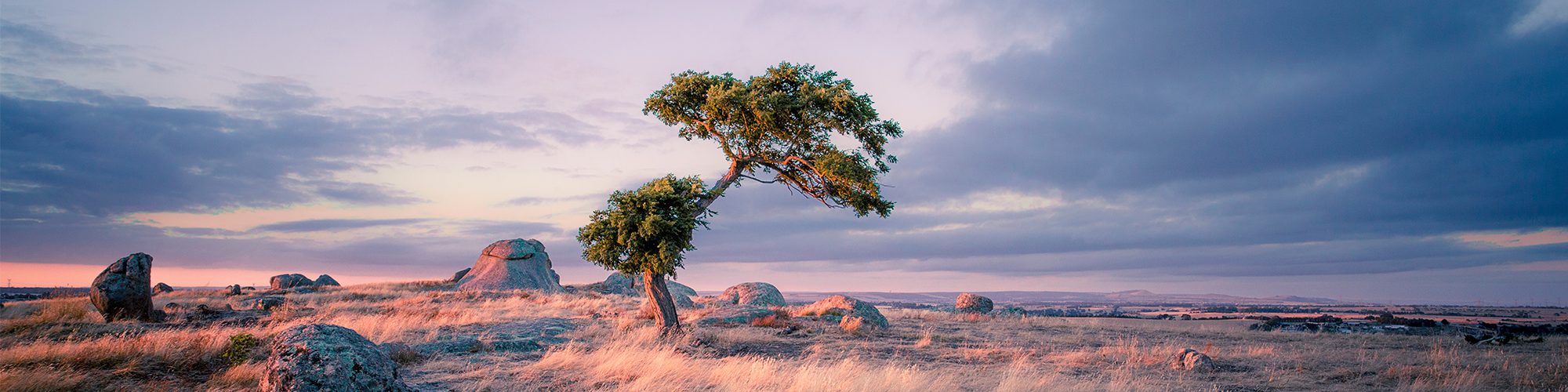 Longreach leverages big public datasets to create compelling greenfield project in Cloncurry